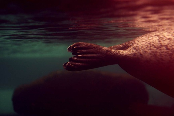 clip_image006[4]