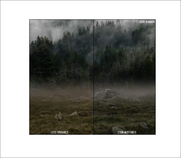 Polaroid_10 Polaroid_10