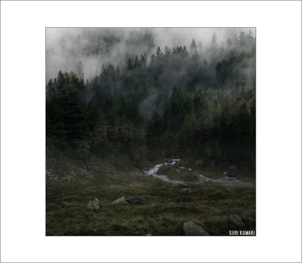 Polaroid_11 Polaroid_11