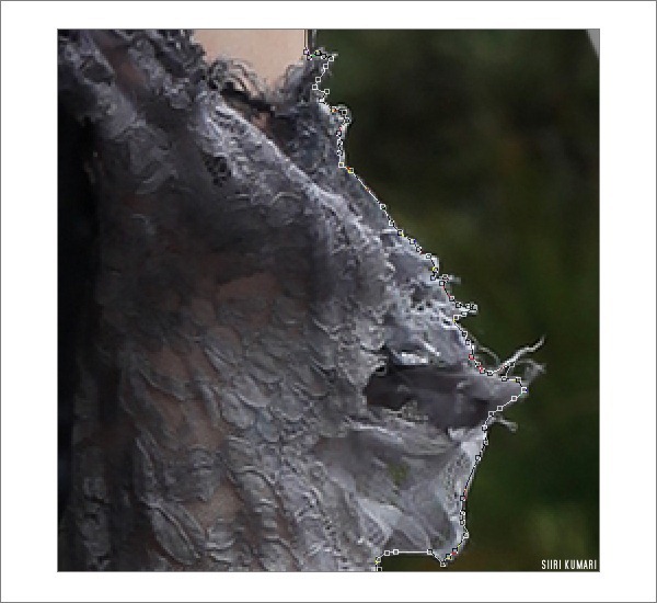 Polaroid_14 Polaroid_14