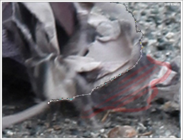 Polaroid_15 Polaroid_15