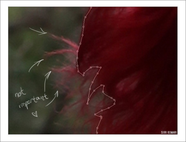 Polaroid_16 Polaroid_16