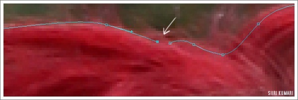 Polaroid_17 Polaroid_17