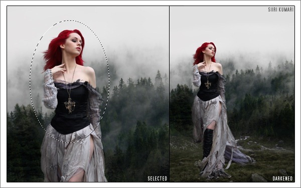 Polaroid_22 Polaroid_22