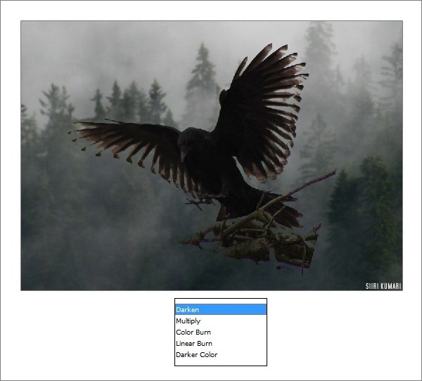 Polaroid_23 Polaroid_23