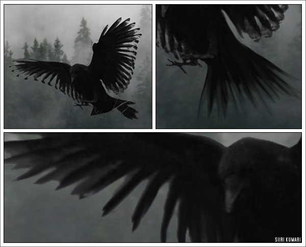 Polaroid_24 Polaroid_24