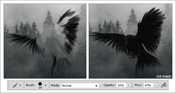 Polaroid_25 Polaroid_25