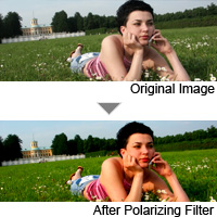 velvia vector photo Velvia