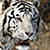 Photoshop Photo Retouch Local Contrast Tutorial