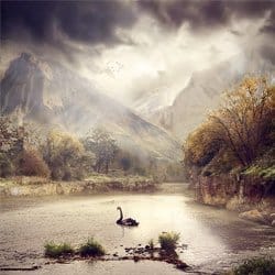 serene-scene.jpg.pagespeed.ce