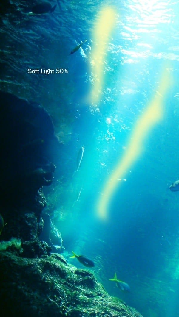Photoshop tutorial: Create an underwater artwork - Digital 