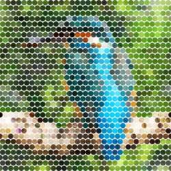 filterforgekingfisher